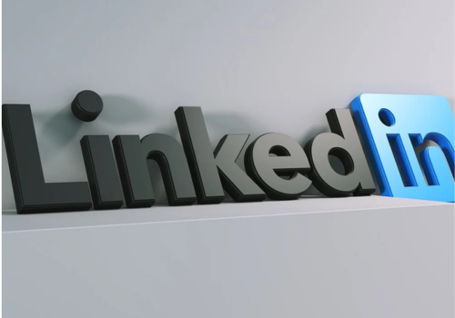 LinkedIn Management Services