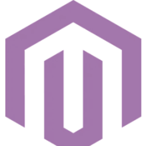 Magento Ecommerce Development Services