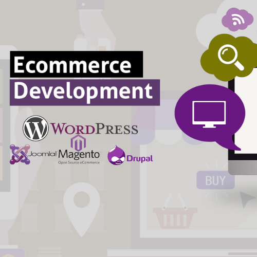 eCommerce Website Development Services