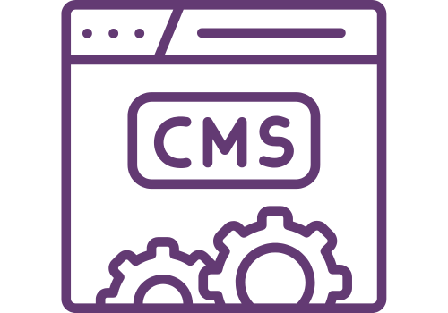 Custom Headless CMS Development
