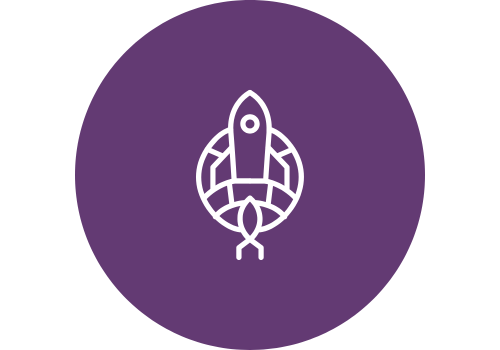 Launch & Deployment